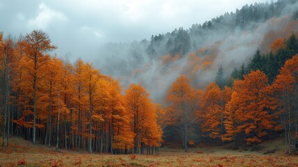 Serene Autumn Morning: Misty Forest with Softened Colors