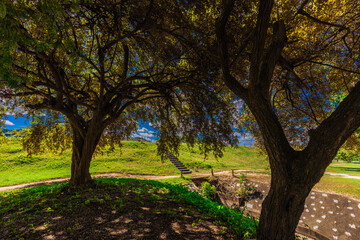 Fototapeta premium Wallpaper abstract of nature blurred, atmosphere surrounded by colorful twilight sky in the evening, surrounded by trees, the beauty of nature according to ecological systems