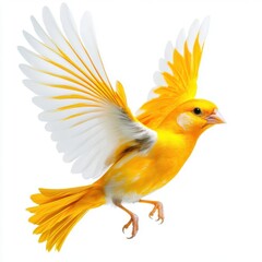Detailed realistic HD of  Canary in spreading wings and flying