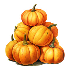 Fototapeta premium A Stack of Ripe Orange Pumpkins