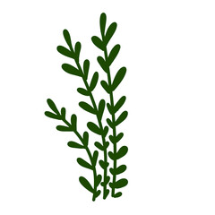 small green grass