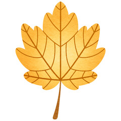 Maple Leaf 