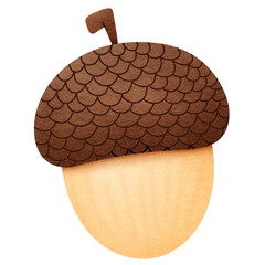 Acorn 