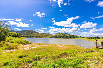 The close background of the green rice fields, the seedlings that are growing, are seen in rural areas as the main occupation of rice farmers who grow rice for sale or living.