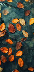 leaves in water