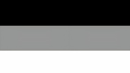 black gray and white seperate color background