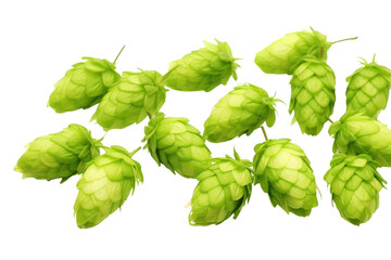 PNG Hop cones green plant food.