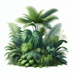 Obraz premium Lush green tropical plants bush (monstera, palm, rubber plant, pine and fern), cut out, прозрачный фон 