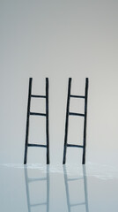 Two Ladders, One Tall and Sturdy, Reflecting in Still Water, a Minimalist Composition.