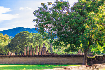 natural background of many species of plants that are laid out in the park, for the propagation of the species and to provide shade for those who stop by while traveling to study the ecology.