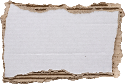 piece of white paper tear isolated on white background