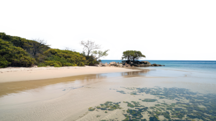 Isolated Beach With Vegetation Against A Transparent Background, Nature Landscape PNG Transparent