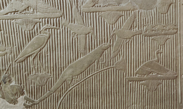 A scene in relief in the tomb of the vizier Mereruka showing a papyrus thicket teeming with animals and birds. Saqqara . Egypt.