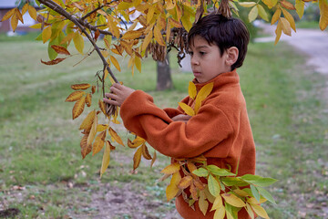 portrait of latin boy playing with the leaves of a tree, an autumn afternoon in a public park.