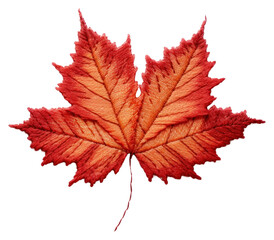 PNG Maple leaf in embroidery style plant tree pattern.