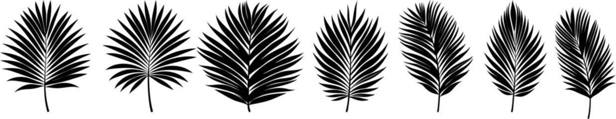 Obraz premium set of palm leaves, botanical icon vector