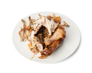 Chicken Leftovers, Unfinished Grilled Chicken on Dirty Plate Isolated, Meat Pieces and Bones