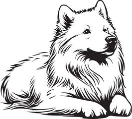 illustration of lying samoyed dog