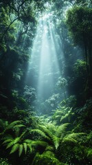 Obraz premium Sunbeams illuminating lush green forest floor through canopy