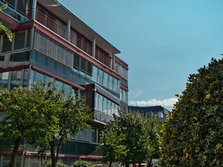 Office tower taken from the side with a plant foreground on a clear sky