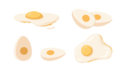 Dieting and nutrition, fried and boiled eggs. Vector isolated flat set of ingredient for cooking dishes and meals. Nourishment and eating healthy. Side and top view of healthy organic product
