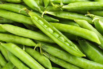 Many fresh green pods as background, closeup
