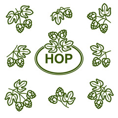 Hop set. Collection icon hops. Vector