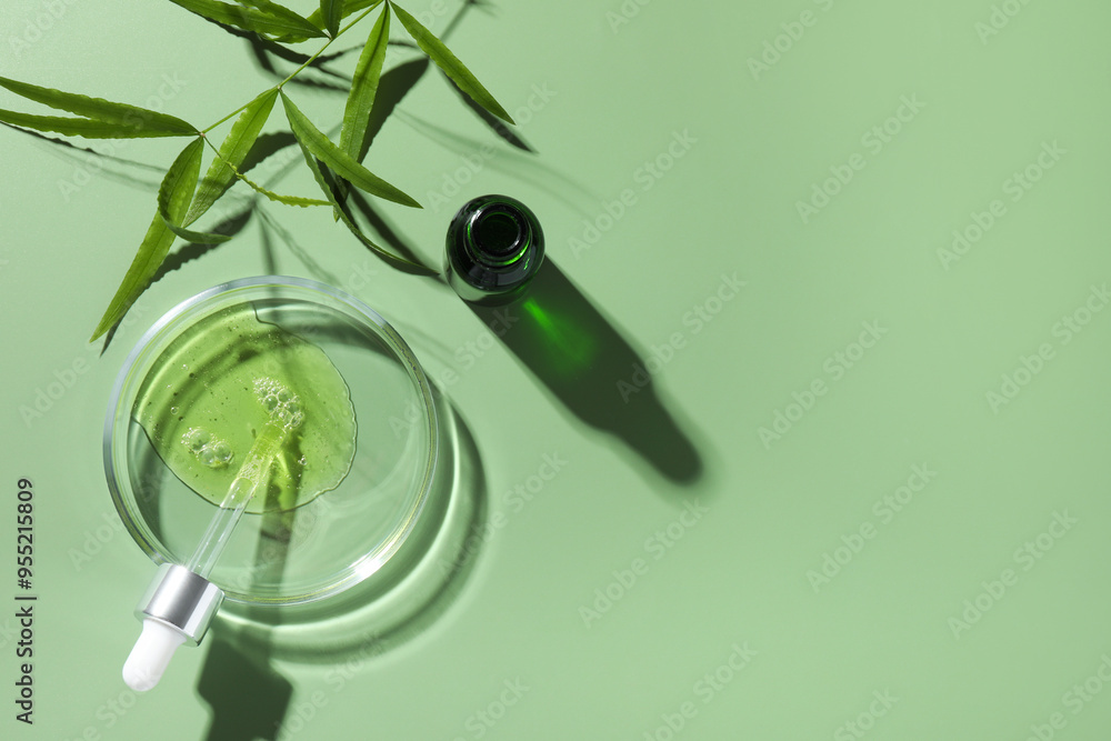 Poster Petri dish with cosmetic product, bottle, pipette and leaves on green background, flat lay. Space for text