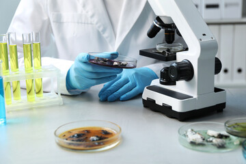 Laboratory worker holding petri dish with sample at light table, closeup