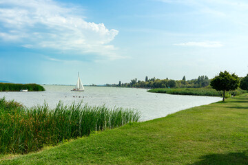 beautiful landscape at Lake Balaton with sailboat and reed