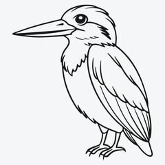Fototapeta premium Art & Illustration kingfisher-bird standing