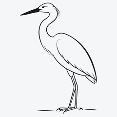 Art & Illustration heron-bird standing