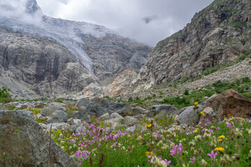 View of a glacier covered with clouds. Panorama in a mountain gorge. The glacier descends from the top of the mountain, forming waterfalls with clear water. Granite stones and flowers in the mountains