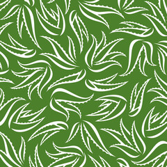 Aloe Vera pattern background set. Isolated Aloe Vera set. Vector