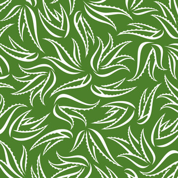 Aloe Vera pattern background set. Isolated Aloe Vera set. Vector