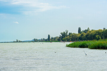 beautiful landscape at Lake Balaton with reed