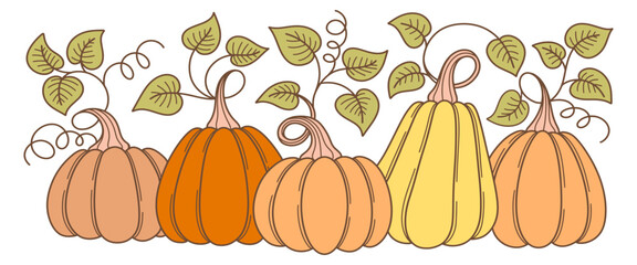 pumpkin with leaves vector illustration