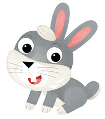 Cartoon rabbit or easter bunny forest or farm animal isolated illustration for kids