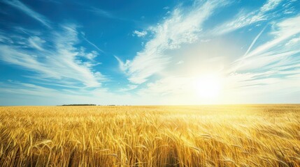 Obraz premium sundrenched wheat field stretching to horizon golden stalks swaying in gentle breeze vibrant blue sky with wispy clouds pastoral serenity