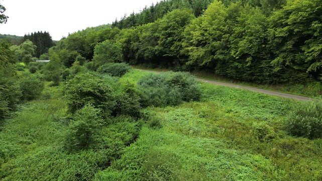 flying low over bushes trees green landscape countryside aerial