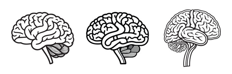 Set of human brain line art.