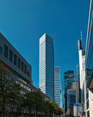 Fototapeta premium narrow skyscraper in Frankfurt am Main, surrounded by smaller buildings with a clear sky
