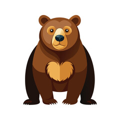 Bear cartoon color illustration design