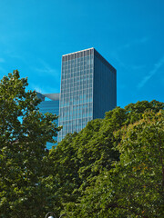 A skyscraper with glass front under a clear sky with trees in the foreground