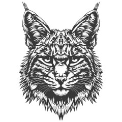 Fototapeta premium Close up Black and White Illustration of a Bobcats Face