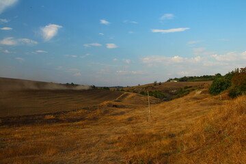 Obraz premium A field with grass and trees