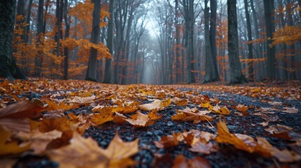 A serene autumn forest pathway blanketed with vibrant orange and yellow fallen leaves, creating a picturesque and tranquil atmosphere amidst tall trees