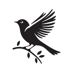Bird silhouette vector illustration design