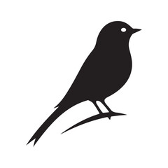 Bird silhouette vector illustration design