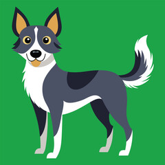 Dog Breeds Illustration, Pet with colorful background nice image.